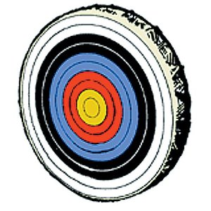 Saunders 48 to 50-inch Toughenized Archery Target Face ...