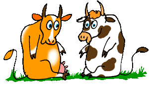 Animal Animations and Other Animations From All-