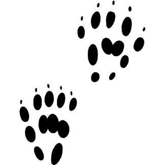 Animal Footprints Clip Art - ClipArt Best