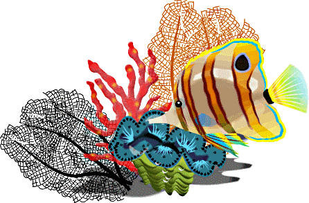 Free Fish Clipart, Tropical Fish, Star Fish, Cartoon Fish Clip Art