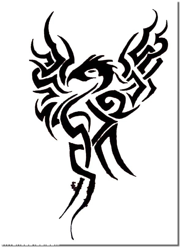 Dibujos de dragones tribales - Imagui