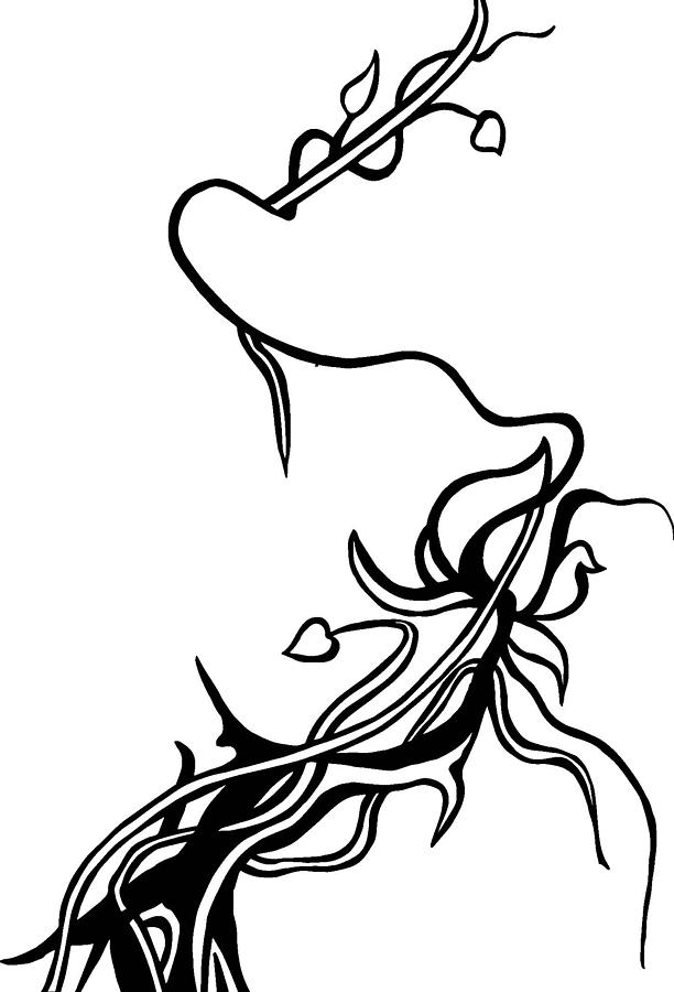 Flower Tree Vine Drawing by Tu Ly - Flower Tree Vine Fine Art ...