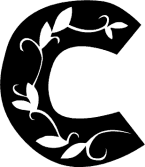 41245C.GIF