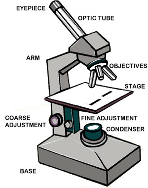 dudo kemol: The Microscope Parts