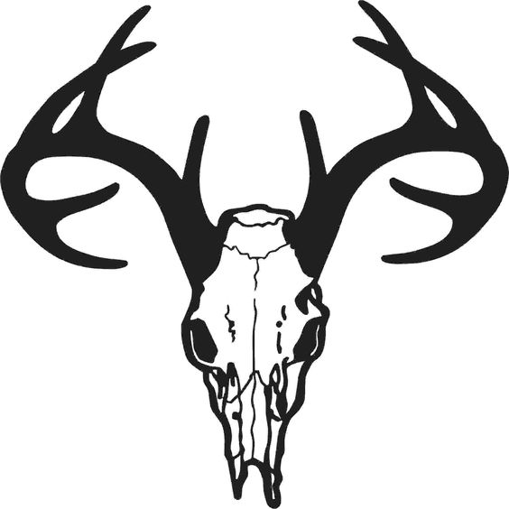Deer skull drawing, Free clipart images and Deer silhouette on ...