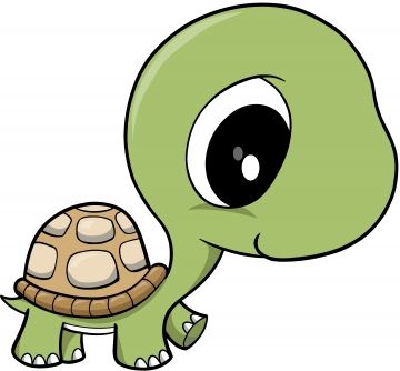 Cute turtle clipart
