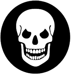 1000+ images about Skulls and other cool things ...