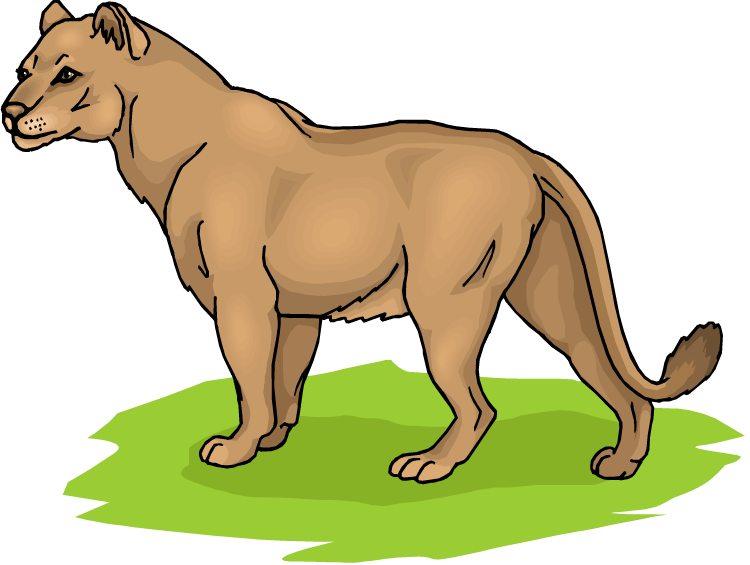 Lioness Clip Art