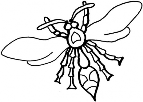 Wasp-coloring-pages-2 | Free Coloring Page Site