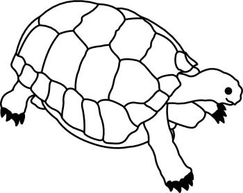 Turtle Clip Art Black And White - Free Clipart Images