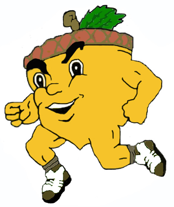 Running Acorn