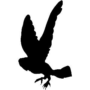 Owl Silhouette Clipart