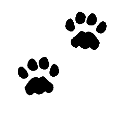 Dog Paw Print Clip Art Free Download - Free ...