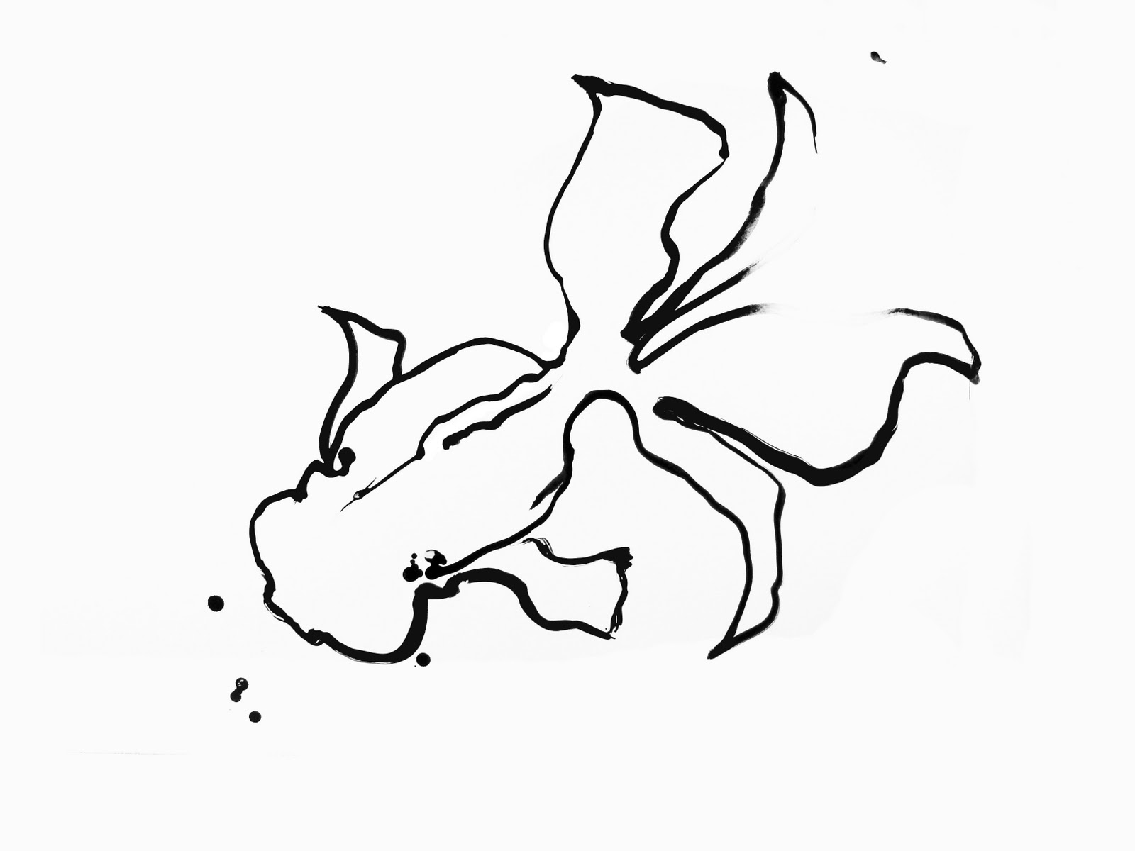 Amy Holliday Illustration: Fish Studies: Exploring movement ...