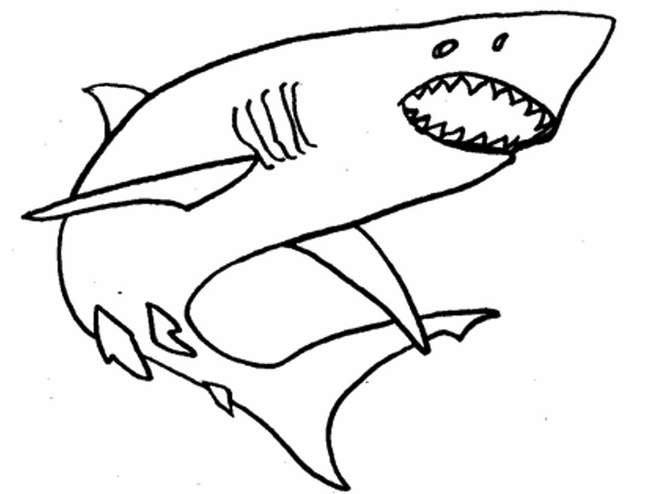 Requin Dessin - ClipArt Best