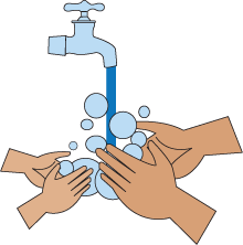 Help your kids wash their hands properly | EatFresh