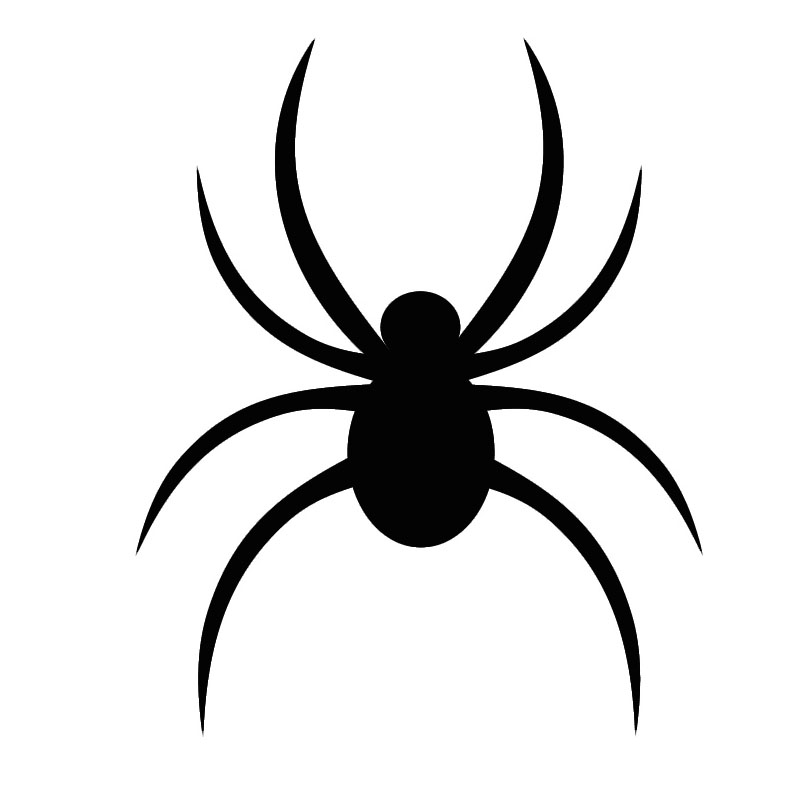 spider cartoon images - usseek.com