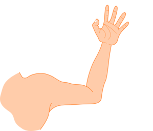 Arm Clip Art - Tumundografico
