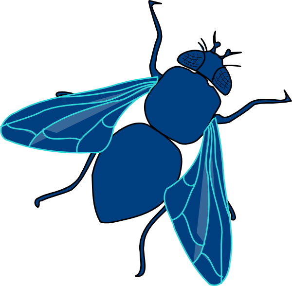 Fly Clip Art - Free Clipart Images