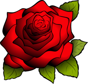 Red rose clipart