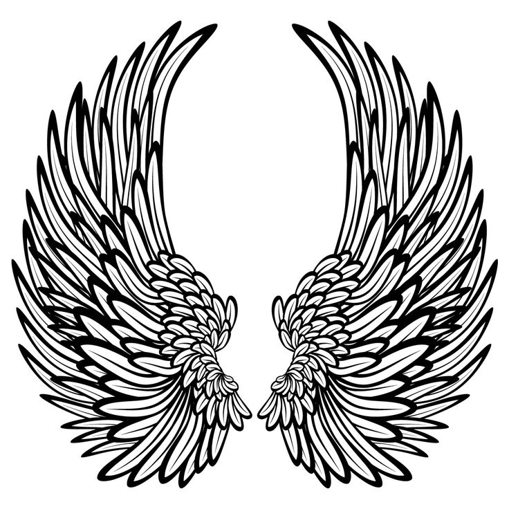 1000+ images about Angel wings