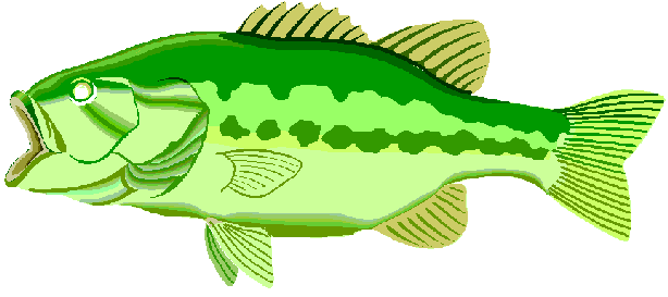 Largemouth Bass Fish Clip Art - Free Clipart Images