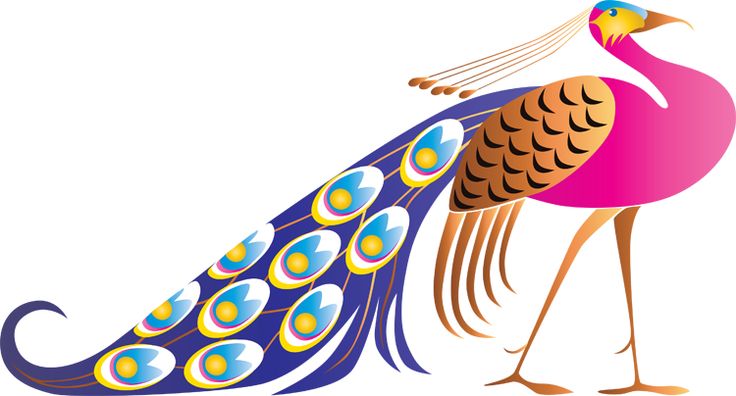 Peacocks creative and clip art on - Cliparting.com
