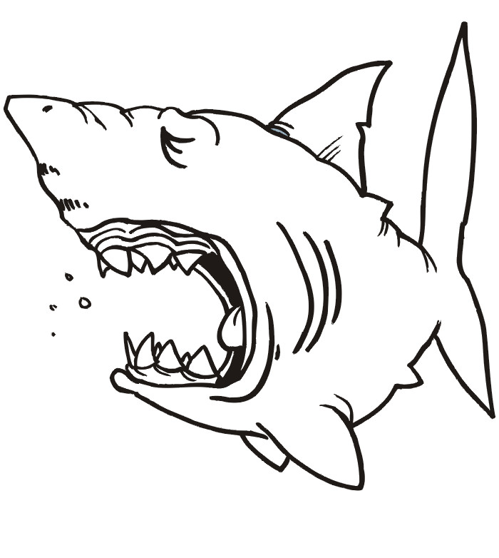 65+ Sea Creature Templates - Printable Crafts & Colouring Pages ...