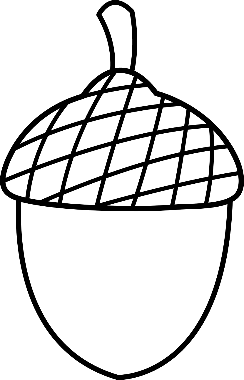 Best Acorn Clipart #21337 - Clipartion.com