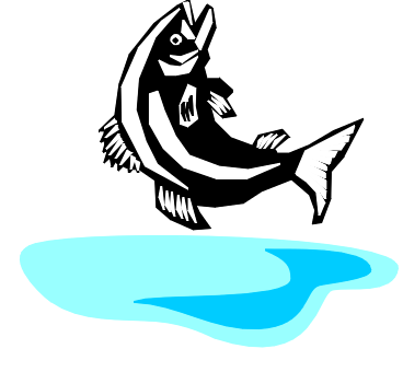 Dead Fish Clip Art