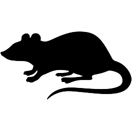 Animal Silhouettes | Page 20