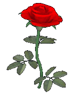 Rose Gifs - ClipArt Best
