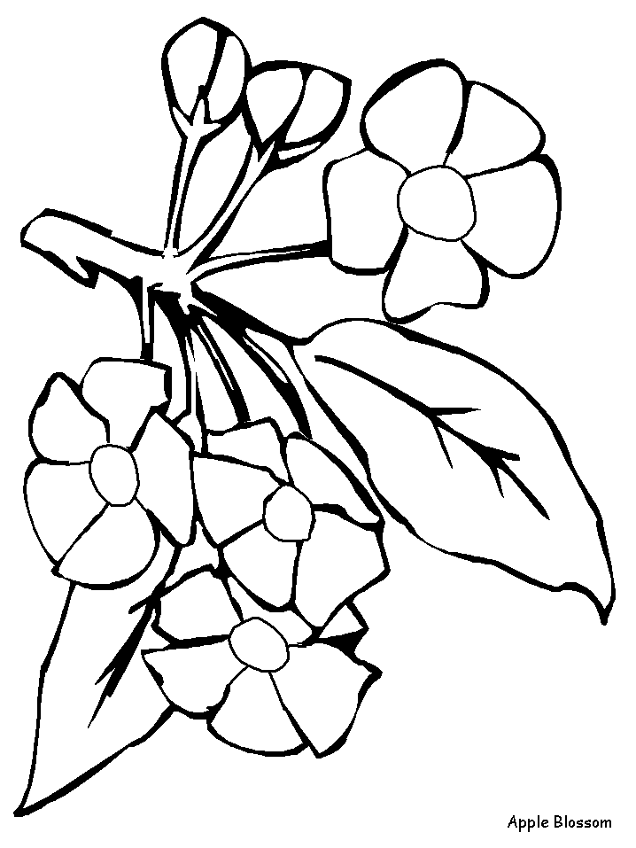 How To Draw A Dead Flower