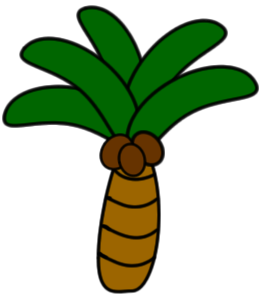 Coconut Tree by flasac on DeviantArt