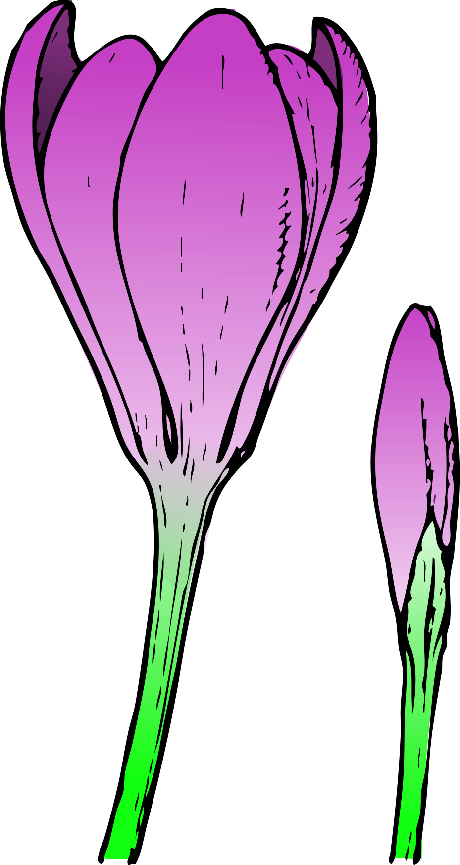 spring images clip art - www.