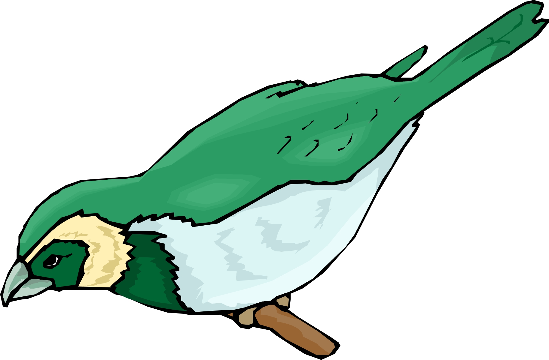 Cartoon Birds | Page 4