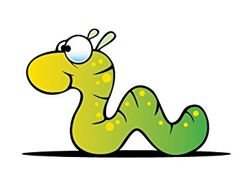 Children&#39;s Wall Decals - Cartoon Inchworm - 12 inch Removable ...