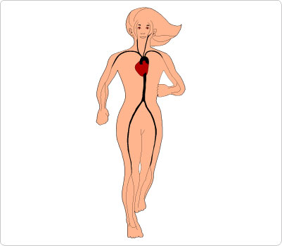 Human Body Clip Art