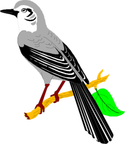 Mockingbird Clipart - Free Clipart Images