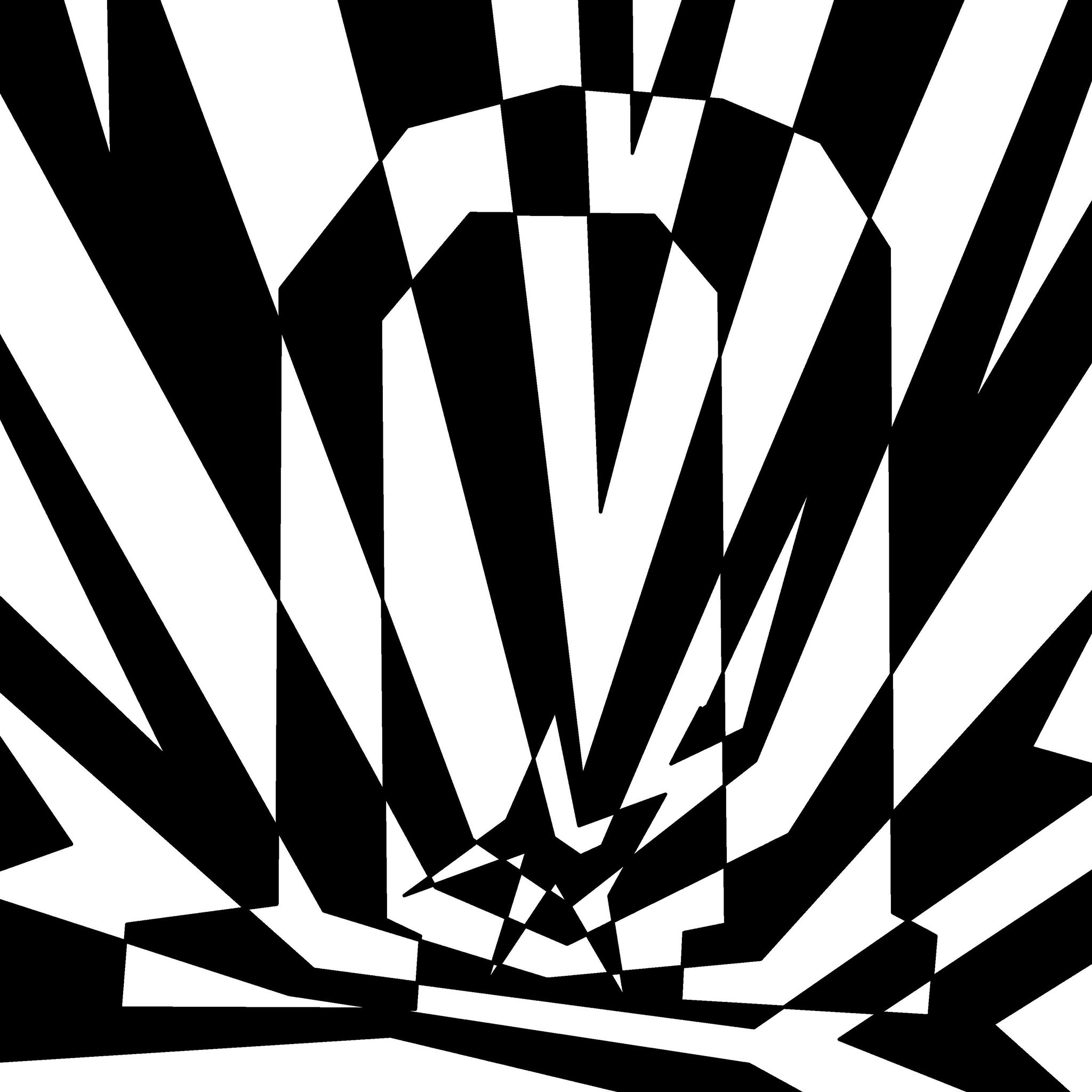 Horseshoe, Black and white | HD iPad Wallpapers