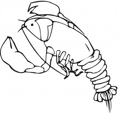 Crawfish Coloring Page Louisiana Coloring Page
