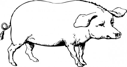 Pig clip art Vector clip art - Free vector for free download