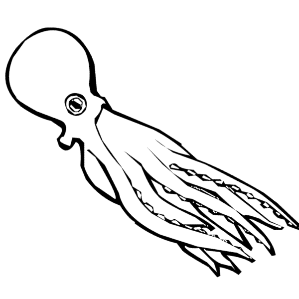 How to Draw Octopus : Drawing Tutorials & Drawing & How to Draw ...