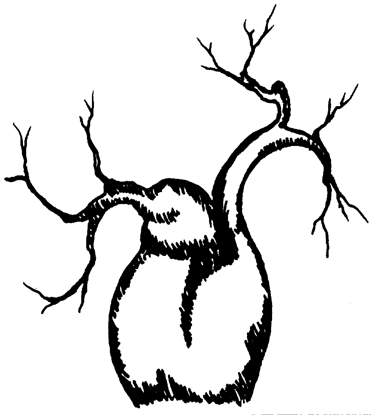 Baobab Tree Drawing - ClipArt Best