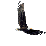 Eagle Eye & Night Owl's Indian Guides Page