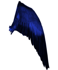 Wings 1~ in PNG form in Angel, Fairy, Butterflies, Birds etc. Forum
