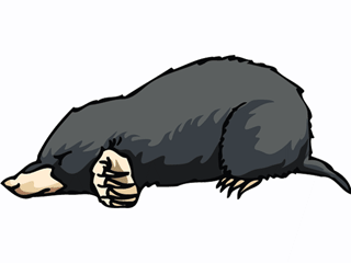 Moles Graphics and Animated Gifs