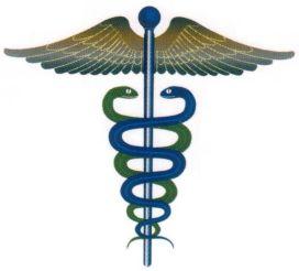 alternative medicine : The Low Density Lifestyle