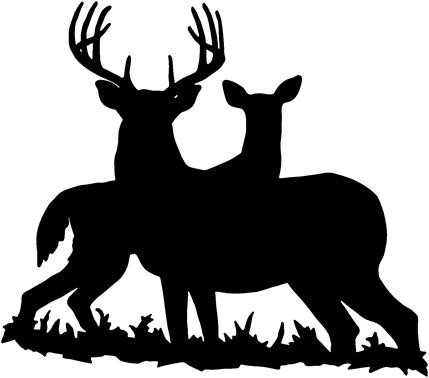 new WHITETAIL deer buck & doe hunting decal sticker