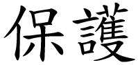 Chinese Symbol for Protection